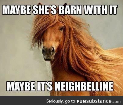 When a horse has better hair than you.