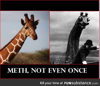 Meth, not even once, even for a giraffe