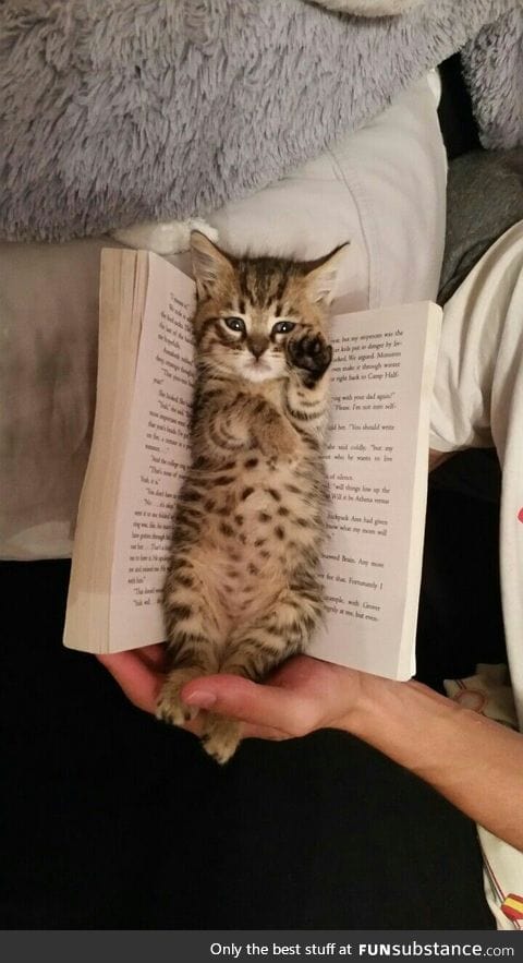 May not be the most effective bookmark, but definitely the cutest