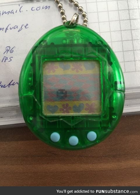 "I'm 32 and my Tamagotchi is still alive"