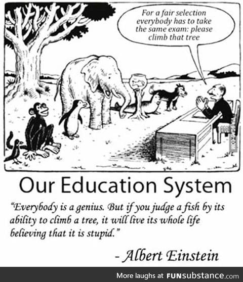 Our education system in a nutshell