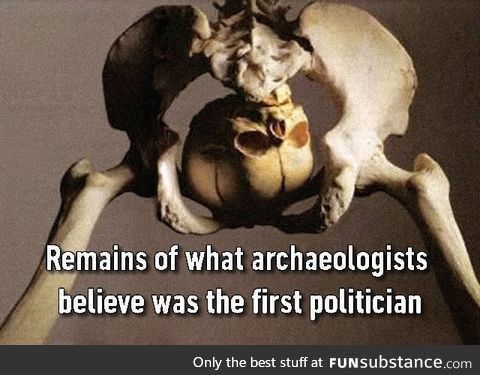An extraordinary archaeological find!