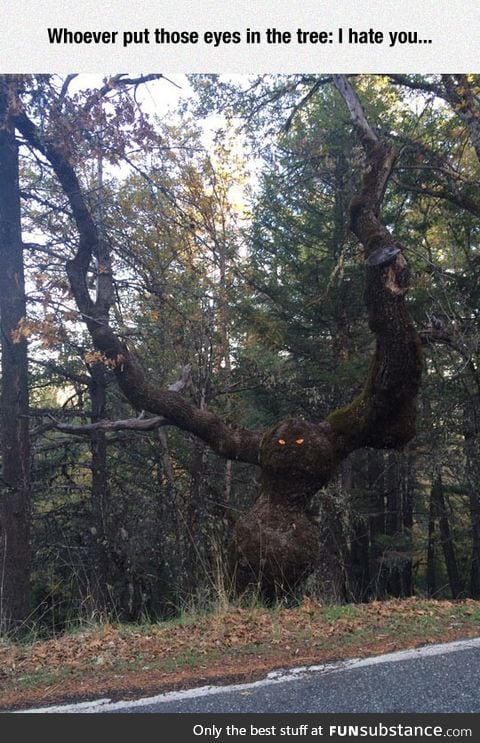 Make trees creepy