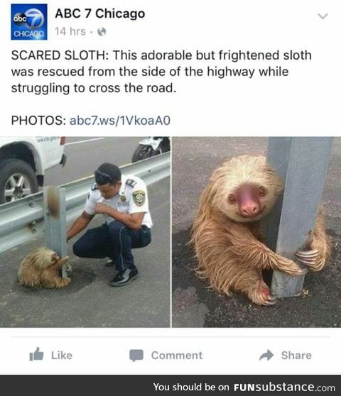 I relate to this sloth