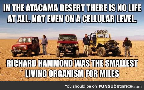 The smallest living organism in the desert (Top gear humor)