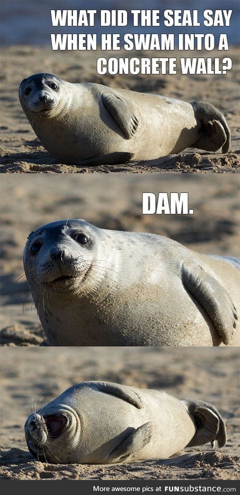 Comedian seal