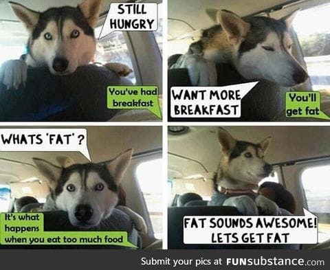 What's Fat?