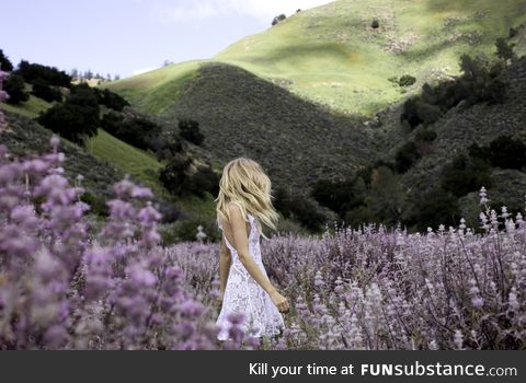 In pursuit of poppies and all we found was this lousy wildflower field