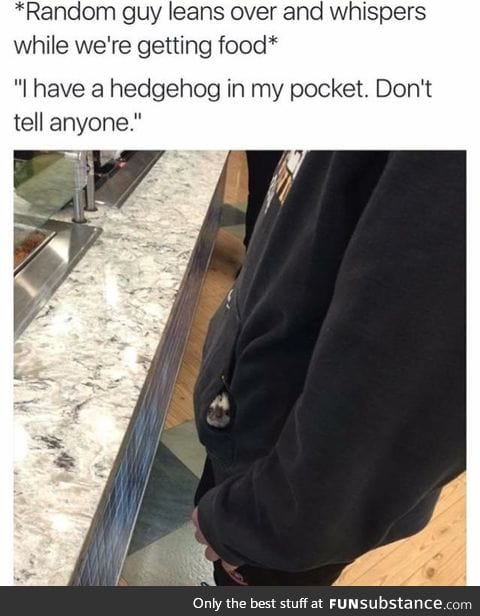 I want a secret pocket buddy too