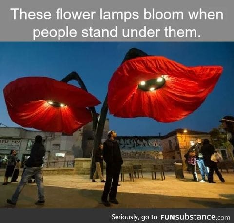 These should be in every park.