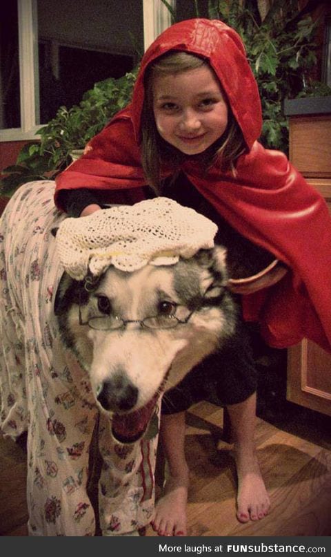 Just a girl and her wolf