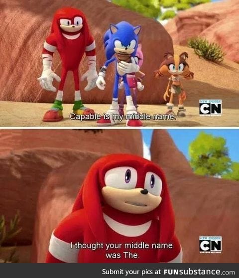 Sonic capable hedgehog?