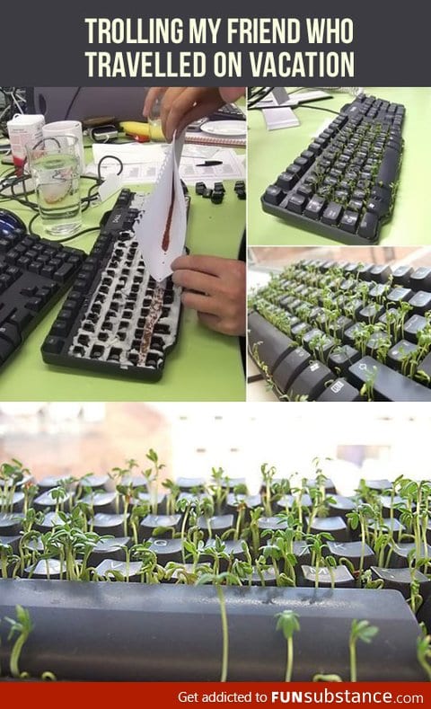 A keyboard full of life