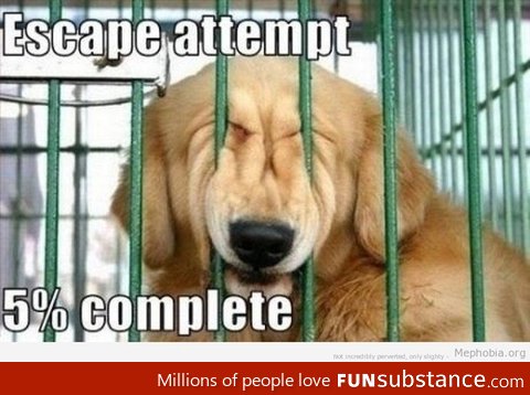 Escape attempt: 5% complete