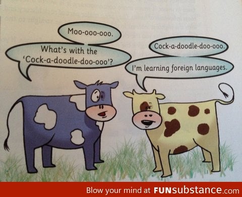 English Book Joke