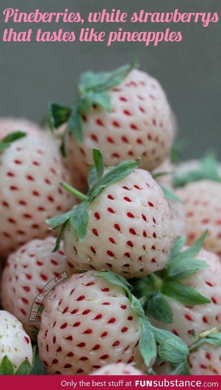 Pineberries