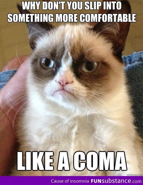 This is my new favorite grumpy cat