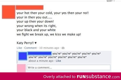 Best correcting of grammar on facebook ever