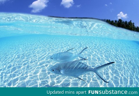 Maldives transparent water and blue sky