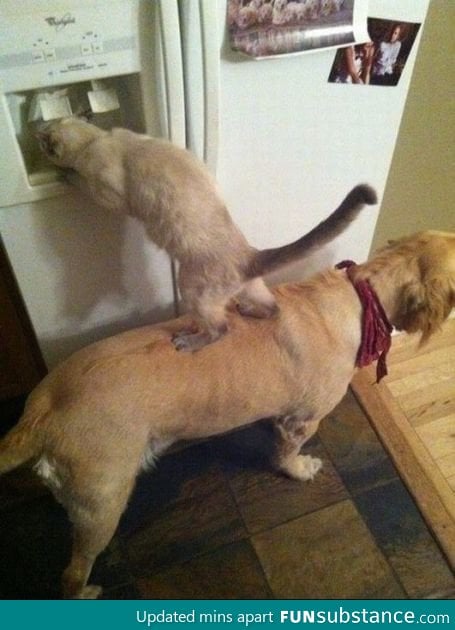 Teamwork