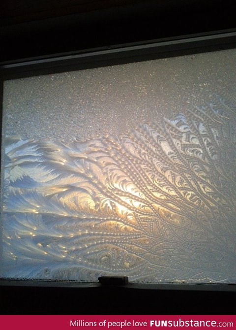 Friend posted this pic of frost on her window today