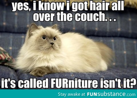 Hairy Furniture