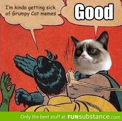 Grumpy Cat Is Everywhere