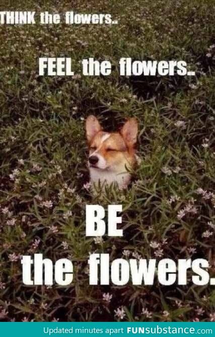 Be the flowers