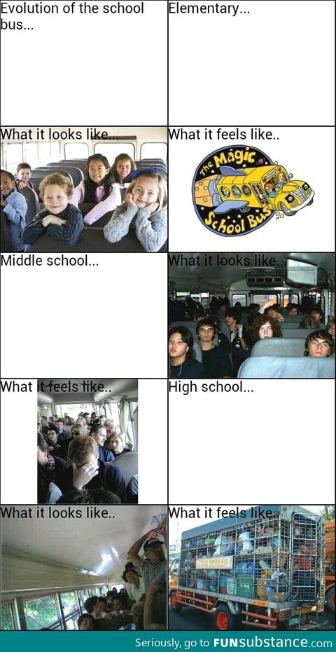 Evolution of the school bus