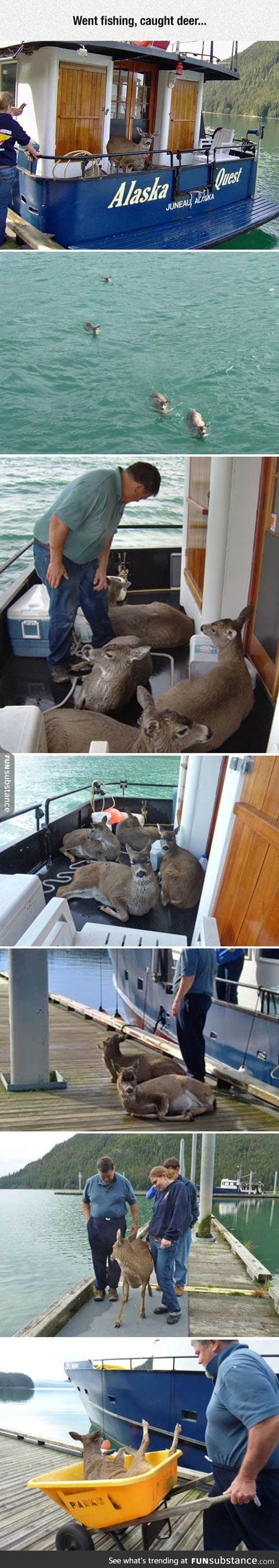 Deer fishing done properly