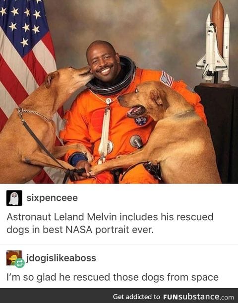 the space doggies