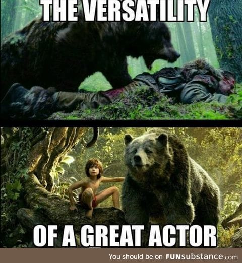 Just give the Bear an Oscar already!