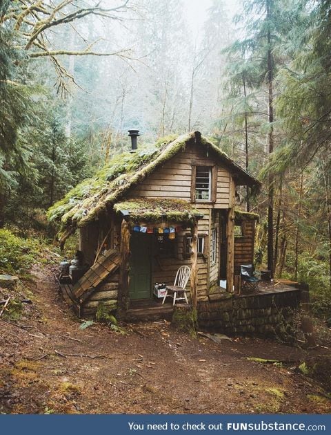 Cozy little cabin in Washington
