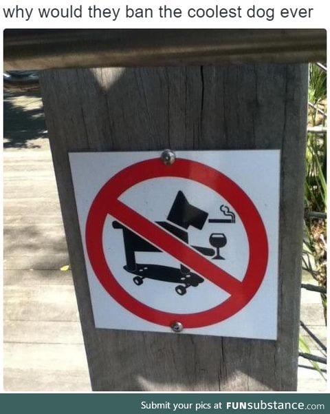 Why would they ban the coolest dog ever?