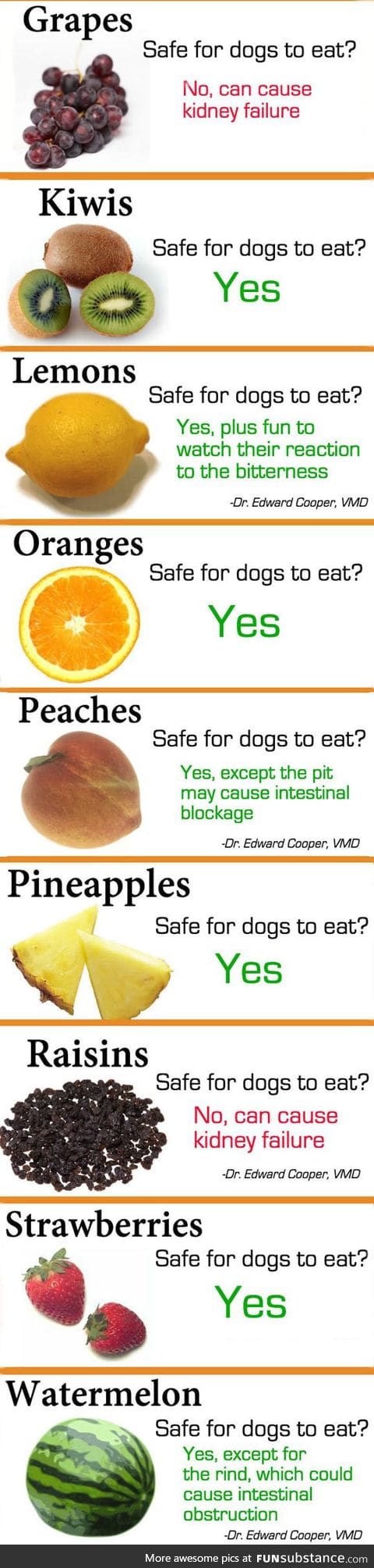 These are the fruits you can and cannot feed your dog