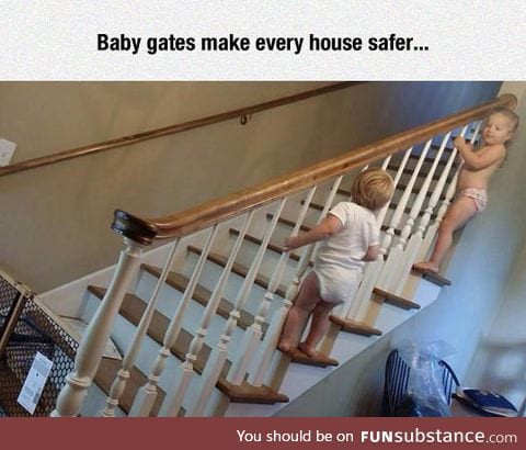 Baby gates are nothing for them