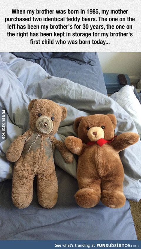 Two teddy bears, many years later