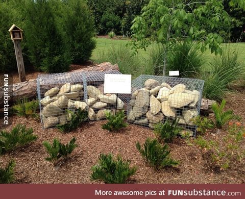 These pet rocks are raised in miserable, overcrowded conditions