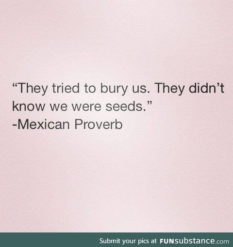 Mexican proverb