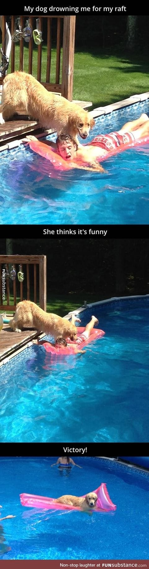 Dog Drowns A Human For The Raft