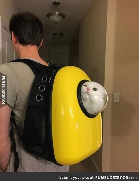 Catpacks, cat compatible backpacks for humans and their cats