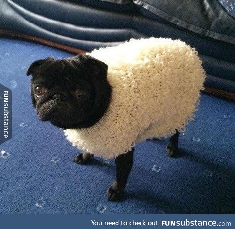 Shaun the Sheep