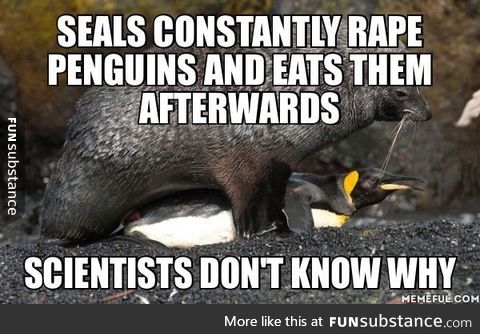 Seals are rapists and cannibals