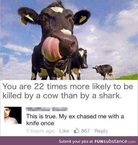 Cow