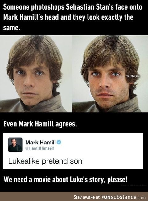 Sebastian Stan looks just like a young Luke Skywalker