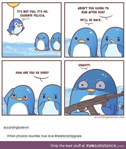 Overly attached penguin