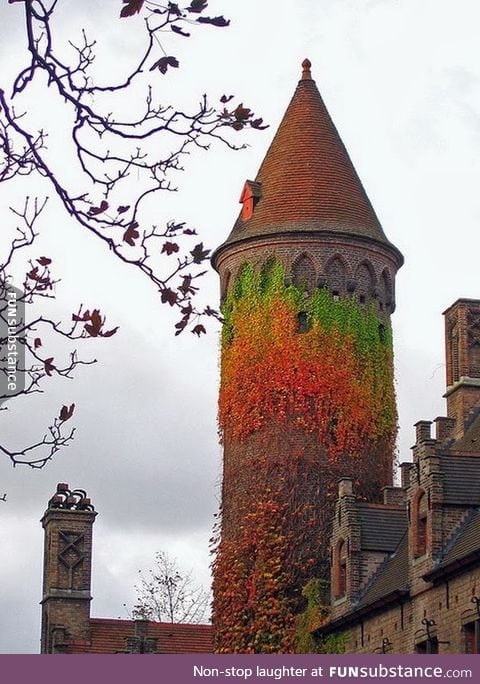 Ivy Тower, Belgium