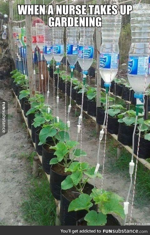 When a nurse takes up gardening