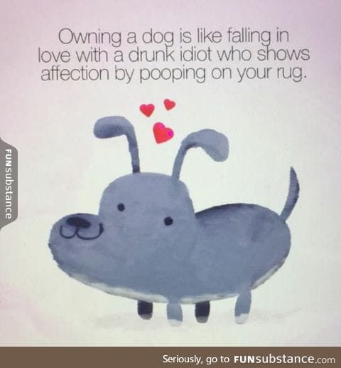 Owning a dog