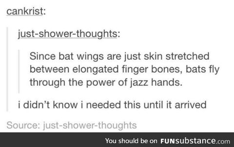 one more reason bats are awesome